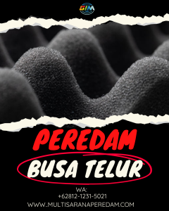 Peredam Busa Telur